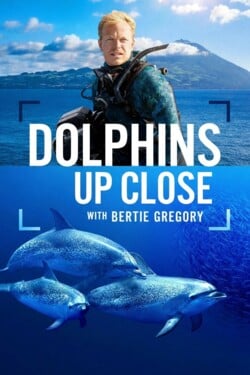 В мире дельфинов с Берти Грегори - смотреть онлайн