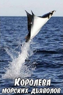 Королева морских дьяволов - смотреть онлайн