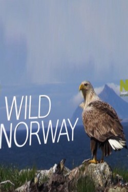 Дикая Норвегия - смотреть онлайн