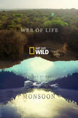 Остров муссонов - смотреть онлайн