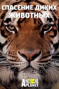 Спасение диких животных - смотреть онлайн