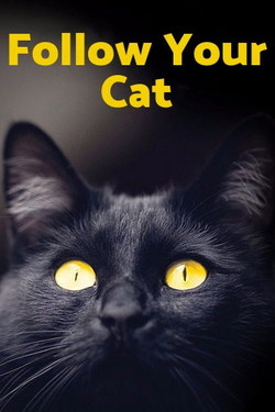 По следам вашей кошки - смотреть онлайн