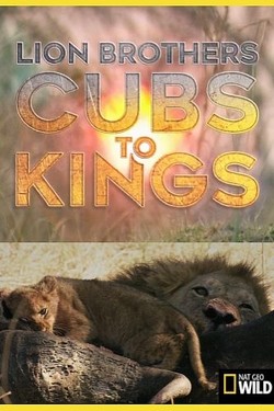 Львы: как братья стали королями - смотреть онлайн