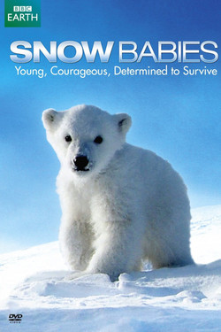 BBC. Рождённые в снегах - смотреть онлайн