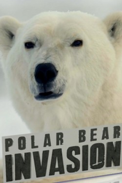 Nat Geo Wild: Нашествие полярных медведей - смотреть онлайн