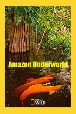 Скрытый мир Амазонки - смотреть онлайн