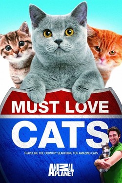 Кошек не любить нельзя - смотреть онлайн