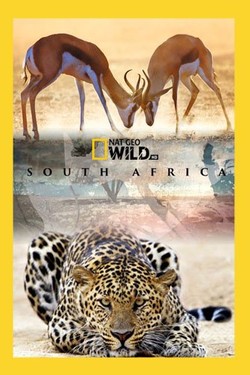 Nat Geo Wild: Дикая Южная Африка - смотреть онлайн