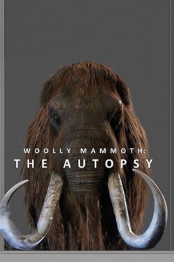 Вскрытие мамонта - смотреть онлайн