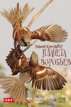 Планета воробьев - смотреть онлайн