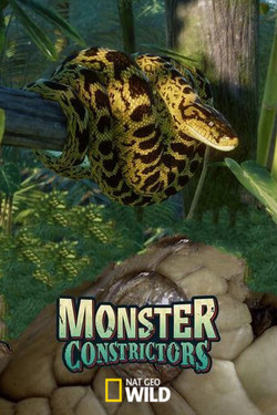 Гигантские змеи. Удавы - смотреть онлайн