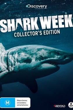 Discovery. Неделя акул - смотреть онлайн
