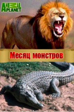 Месяц монстров - смотреть онлайн