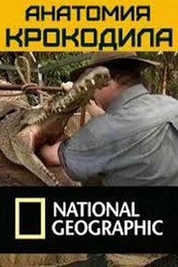 National Geographic. Анатомия крокодила - смотреть онлайн