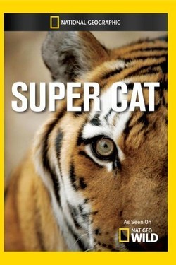 National Geographic. Суперкошка - смотреть онлайн