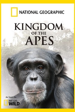 Nat Geo Wild: Королевство обезьян: Брат против брата - смотреть онлайн