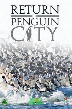 Animal Planet. Возвращение в город пингвинов - смотреть онлайн