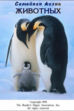 Семейная жизнь животных - смотреть онлайн