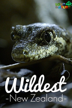 Дикая Новая Зеландия - смотреть онлайн