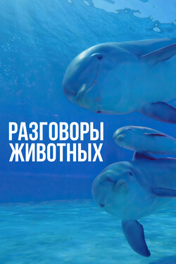 Разговоры животных - смотреть онлайн