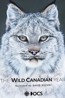 Времена года в Канаде - смотреть онлайн