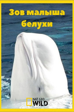 NGW: Зов малыша белухи - смотреть онлайн