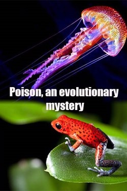 Яд. Достижение эволюции - смотреть онлайн