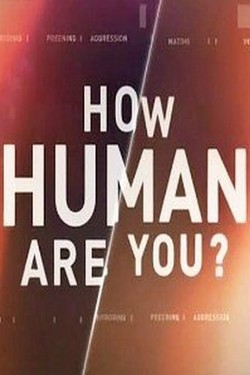 National Geographic. Насколько вы человечны? Брачные игры - смотреть онлайн