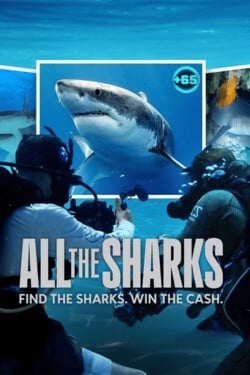 Все акулы - смотреть онлайн