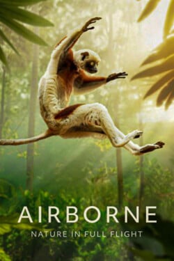 Рождённые летать - смотреть онлайн