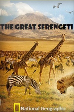 National Geographic. В великом краю Серенгети - смотреть онлайн