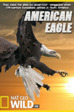 Nat Geo Wild: Белоголовый орлан - смотреть онлайн