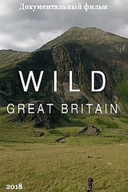 Дикая природа Великобритании - смотреть онлайн