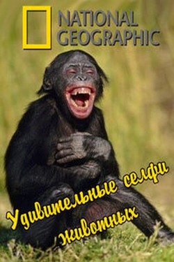 NG. Удивительные селфи животных - смотреть онлайн