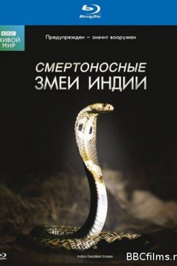 BBC: Смертоносные змеи Индии - смотреть онлайн