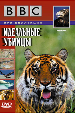 BBC: Идеальные убийцы - смотреть онлайн