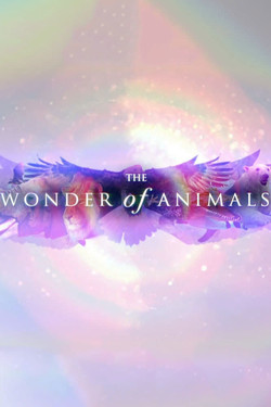 BBC. Чудеса животного мира  - смотреть онлайн