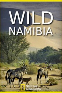 NG: Дикая Намибия - смотреть онлайн