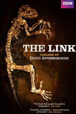 Недостающее звено - смотреть онлайн