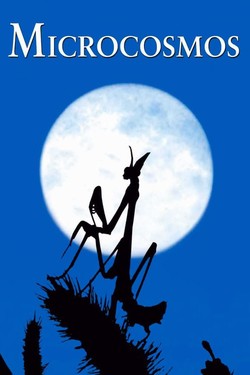 Микрокосмос - смотреть онлайн