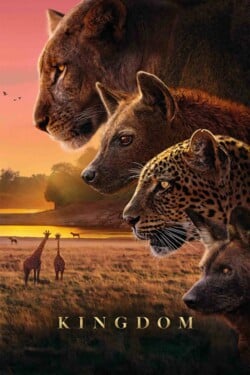 Королевство - смотреть онлайн