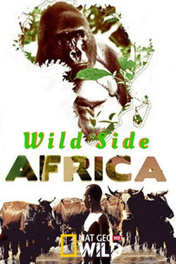 NGW: Дикие места Африки. Рожденные выживать - смотреть онлайн