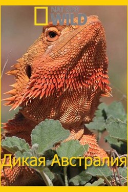 National Geographic. Дикая Австралия - смотреть онлайн