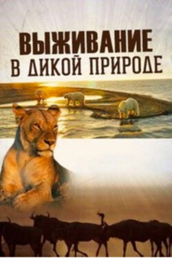 Выживание в дикой природе - смотреть онлайн