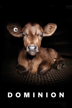 Доминион - смотреть онлайн