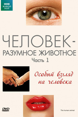 BBC: Человек - разумное животное - смотреть онлайн