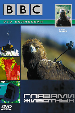 BBC: Глазами животных - смотреть онлайн