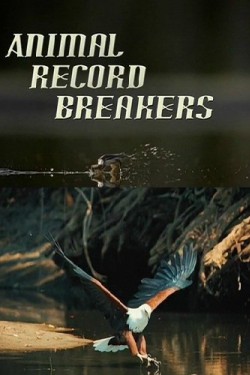 Рекордсмены из мира животных - смотреть онлайн