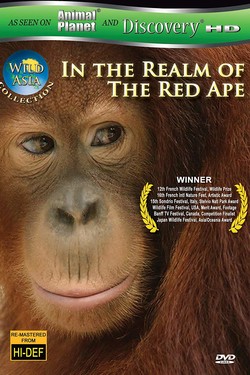 Дикая Азия - смотреть онлайн