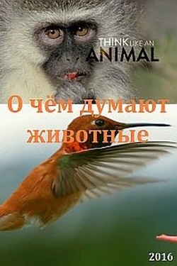 О чём думают животные - смотреть онлайн